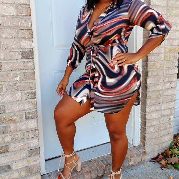 Plus Size Animal Print shirt dress - Picture 2 of 6